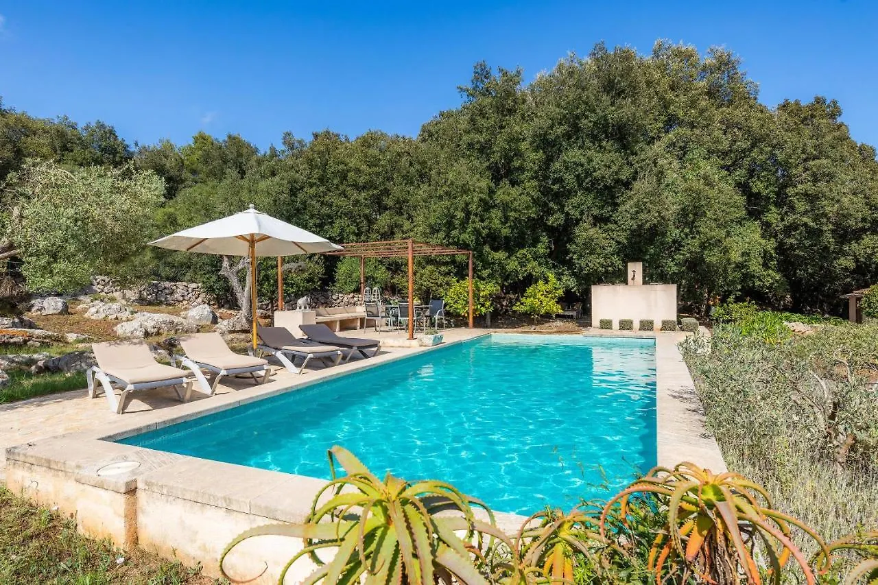 Finca Bona Feina Arta