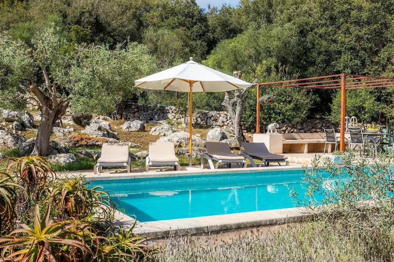 Finca Bona Feina Arta 0*,  Spain